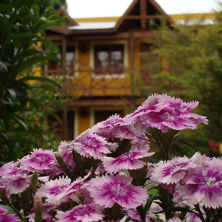 Kau Kaleshen Hotel El Calafate Exterior foto