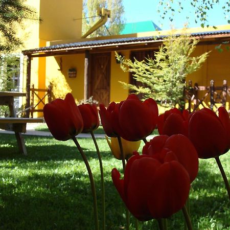 Kau Kaleshen Hotel El Calafate Exterior foto