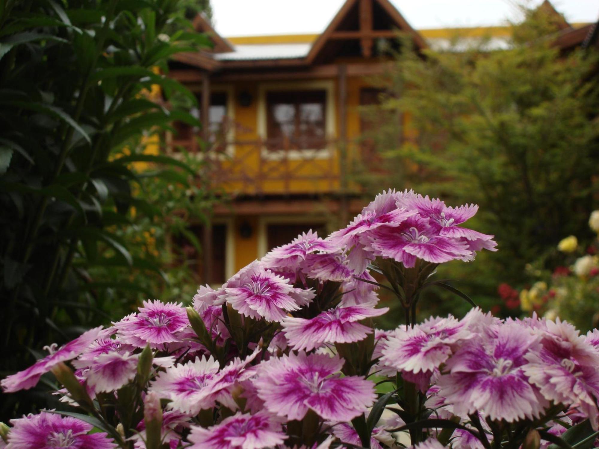 Kau Kaleshen Hotel El Calafate Exterior foto